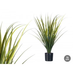 PLANTA ARTIFICIAL DRACAENA...