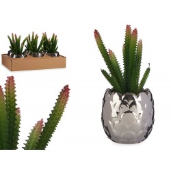 CACTUS ARTIFICIAL CON...