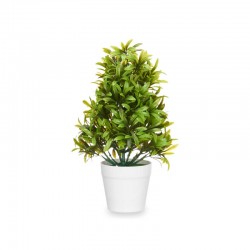 PLANTA GRANDE VERDE HOJAS...
