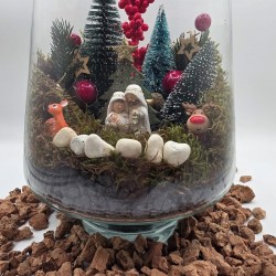 TERRARIO CENTRO DE MESA CON...