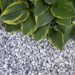 copy of PIEDRA GRIS MACAEL...