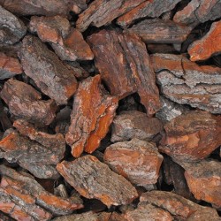 Corteza de pino para...