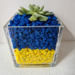 MACETA CRISTAL PIEDRAS...