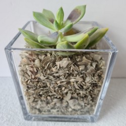 MACETA CRISTAL VIRUTA...