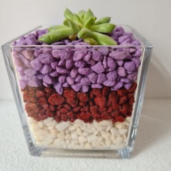 copy of MACETA CRISTAL...