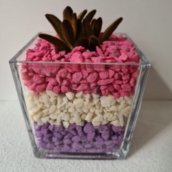 copy of MACETA CRISTAL...