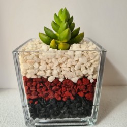 copy of MACETA CRISTAL...