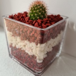 copy of MACETA CRISTAL...