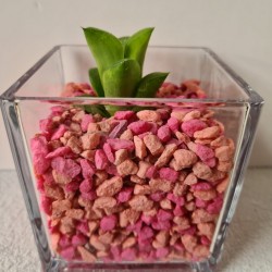 copy of MACETA CRISTAL...