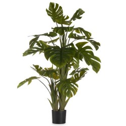 copy of PLANTA ESTERLICIA...