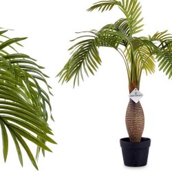 copy of PLANTA ESTERLICIA...