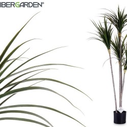 copy of PLANTA ESTERLICIA...
