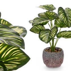 MACETA PLANTA HOJA BICOLOR