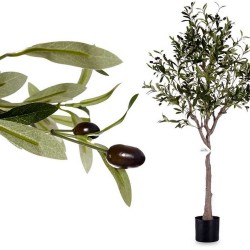 PLANTA OLIVO CON MACETA 130...