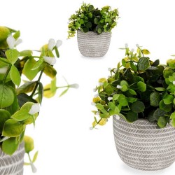 PLANTA VERDE FLOR BLANCA...