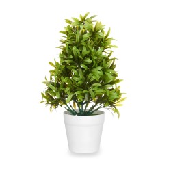 Planta Grande Verde de...