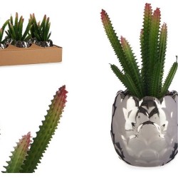 Cactus artificial con...