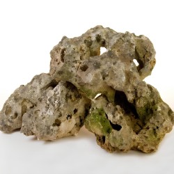 ROCALLA DE MUSGO