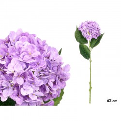 Rama de Hortensia...