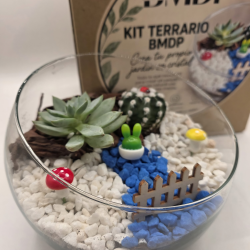 Kit Terrario BMDP +...