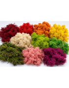 Musgo Preservado de Colores y Decorativo | BMDP