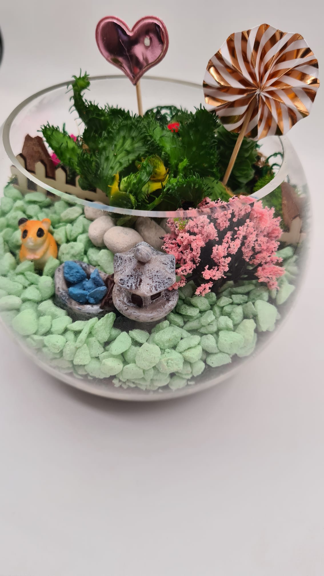 Terrarios decorativos con piedras de colores, grava coloreada, plantas y suculentas, creando composiciones originales y llenas de color para decorar hogares, oficinas y escaparates.