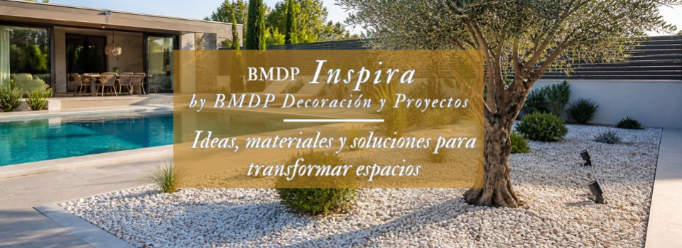BMDP INSPIRA